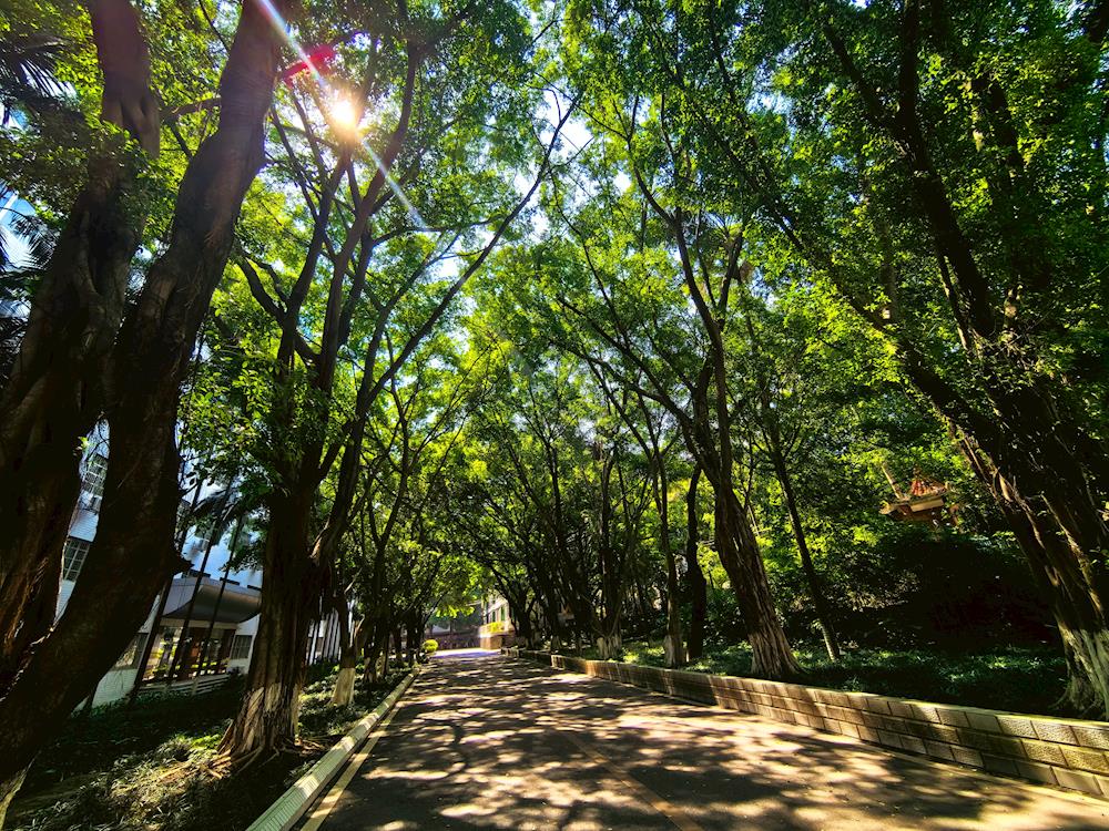 afa66df800f540a6af42926559319368.jpg