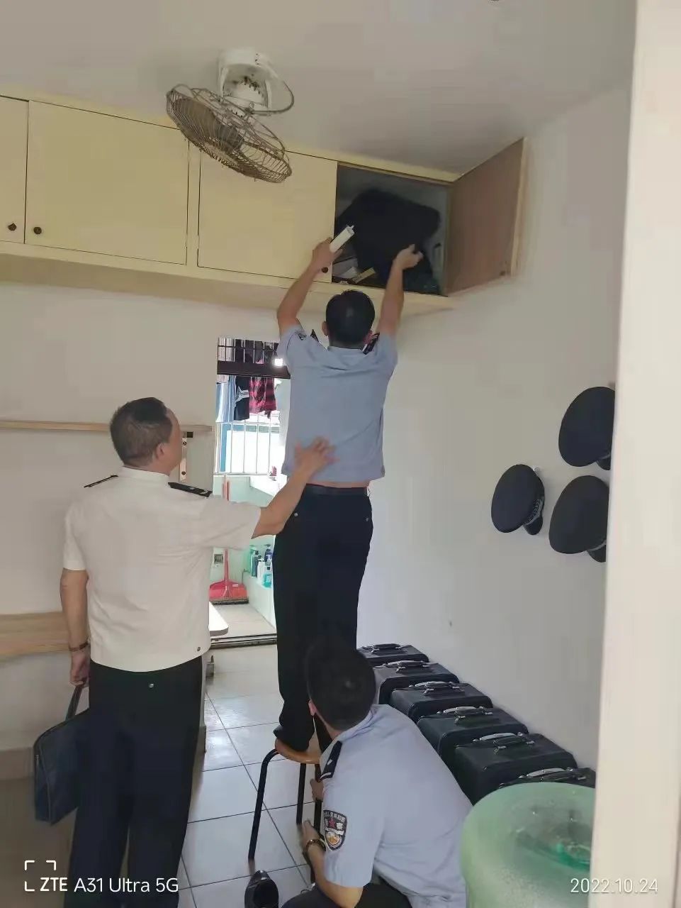 1273f339ac1a463c9a9a81e90596188e.jpg