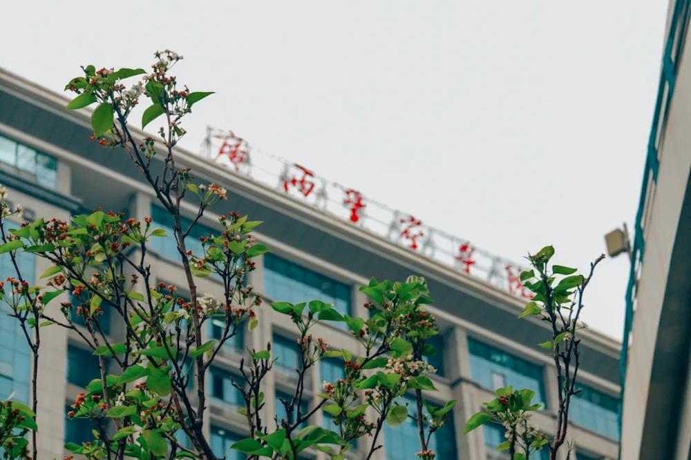 46cad7fbce9640cca1bfa08bc3ff566f.jpg
