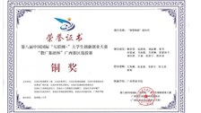 第八届中国国际“互联网+”大学生创新创业大赛“数广集团杯”广西赛区选拔赛铜奖